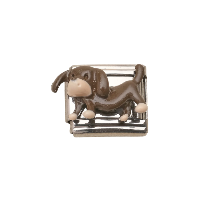 IB Charm Perro Cafe