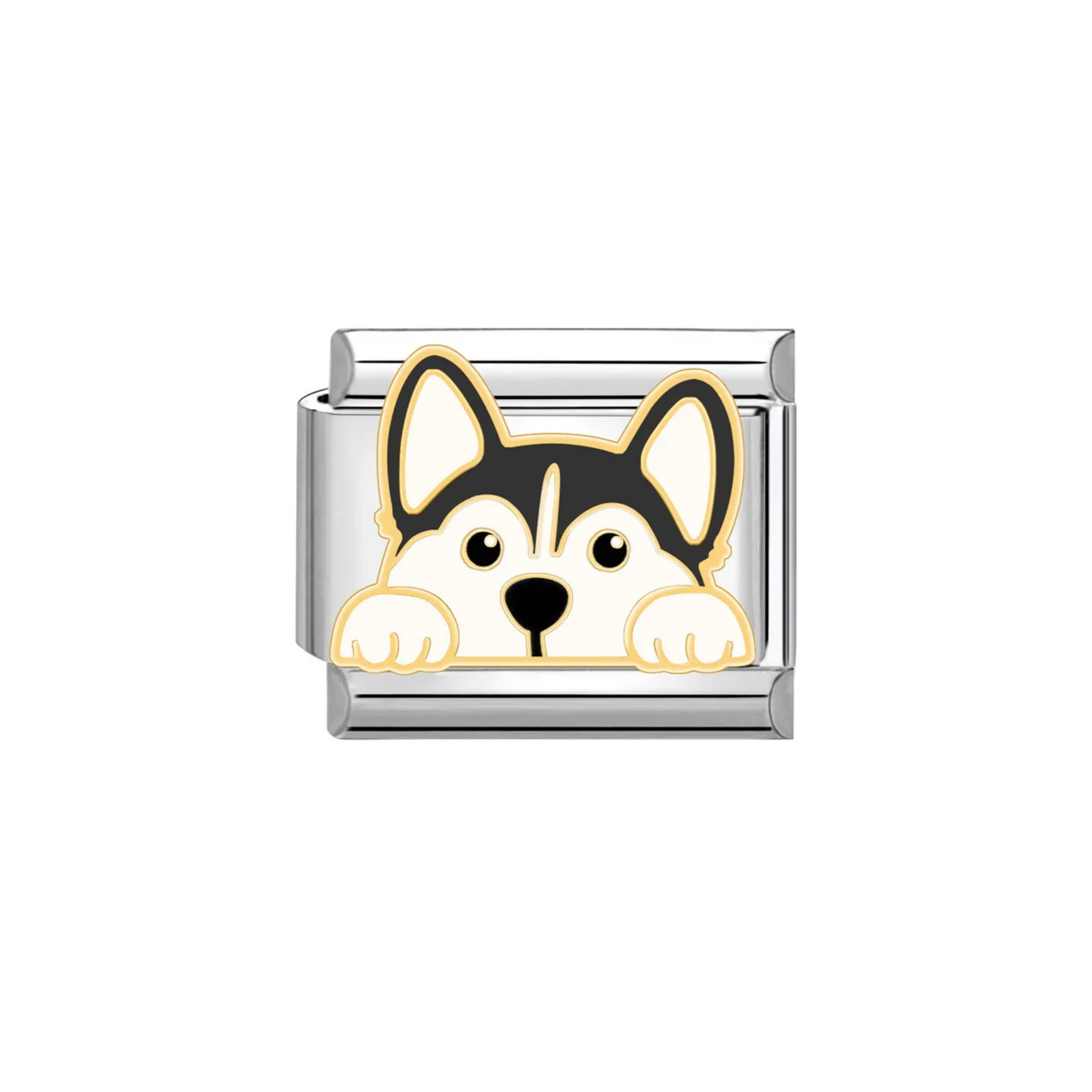 IB Charm Husky Dog