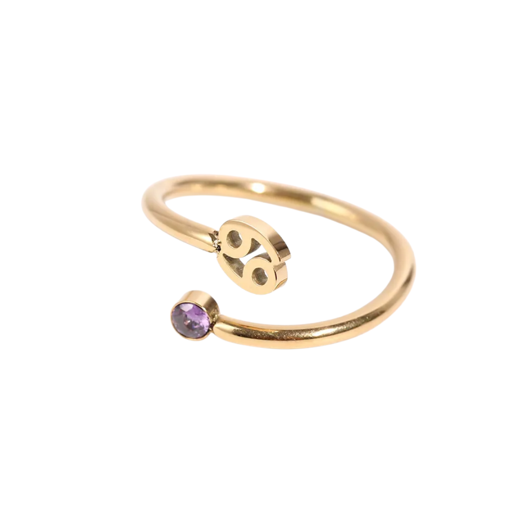Anillo Starsign Birthstone