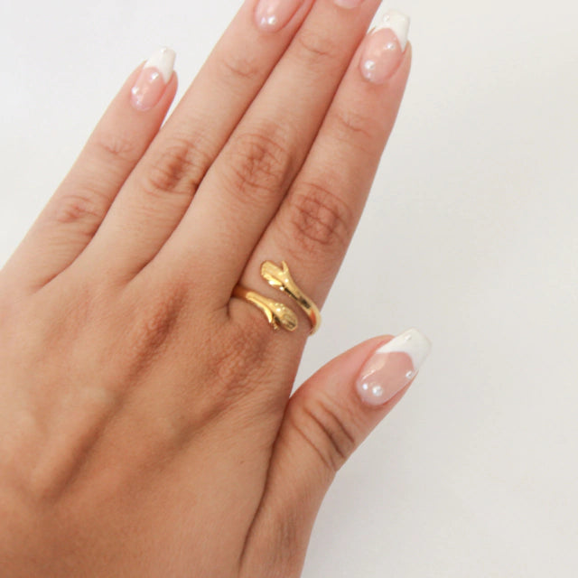 Anillo Hug