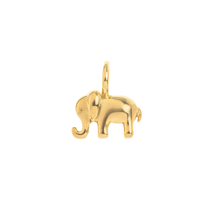 CC Charm Elefante