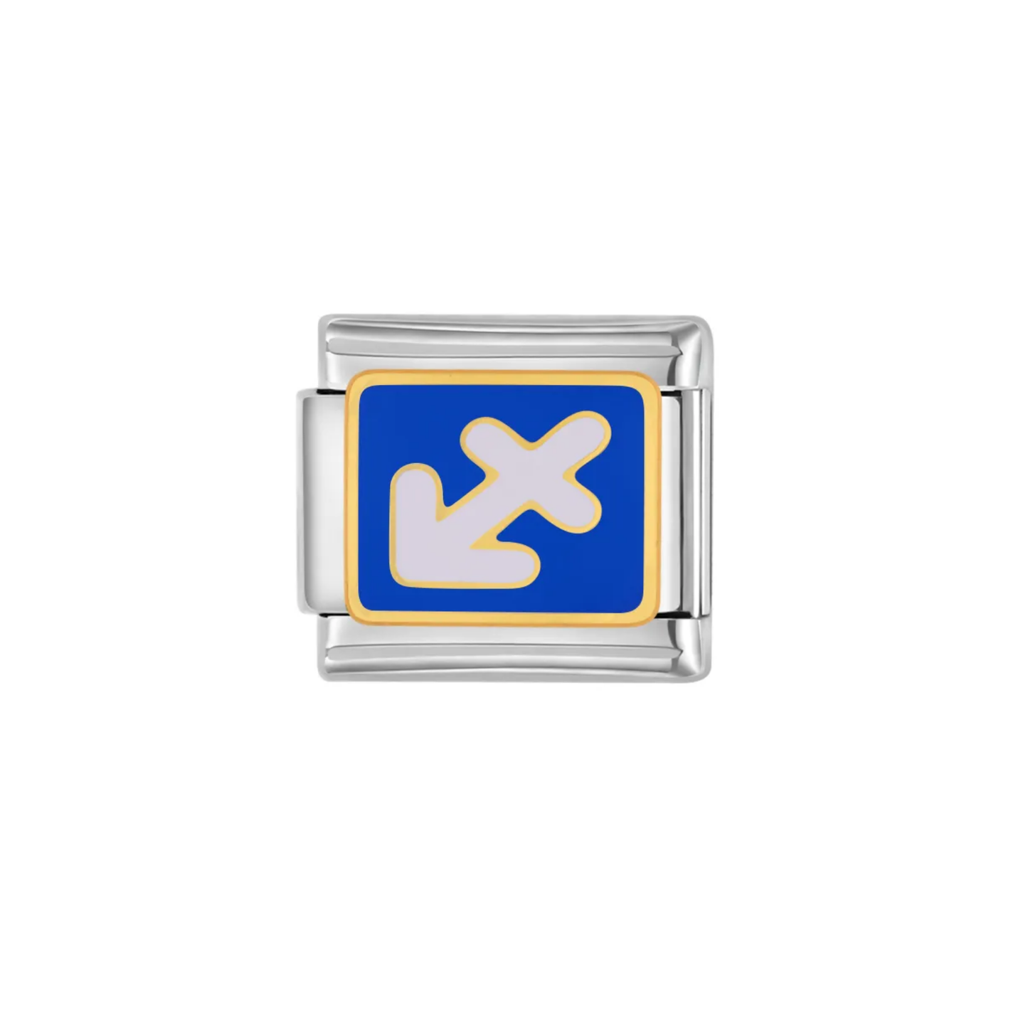 IB Charm Signos