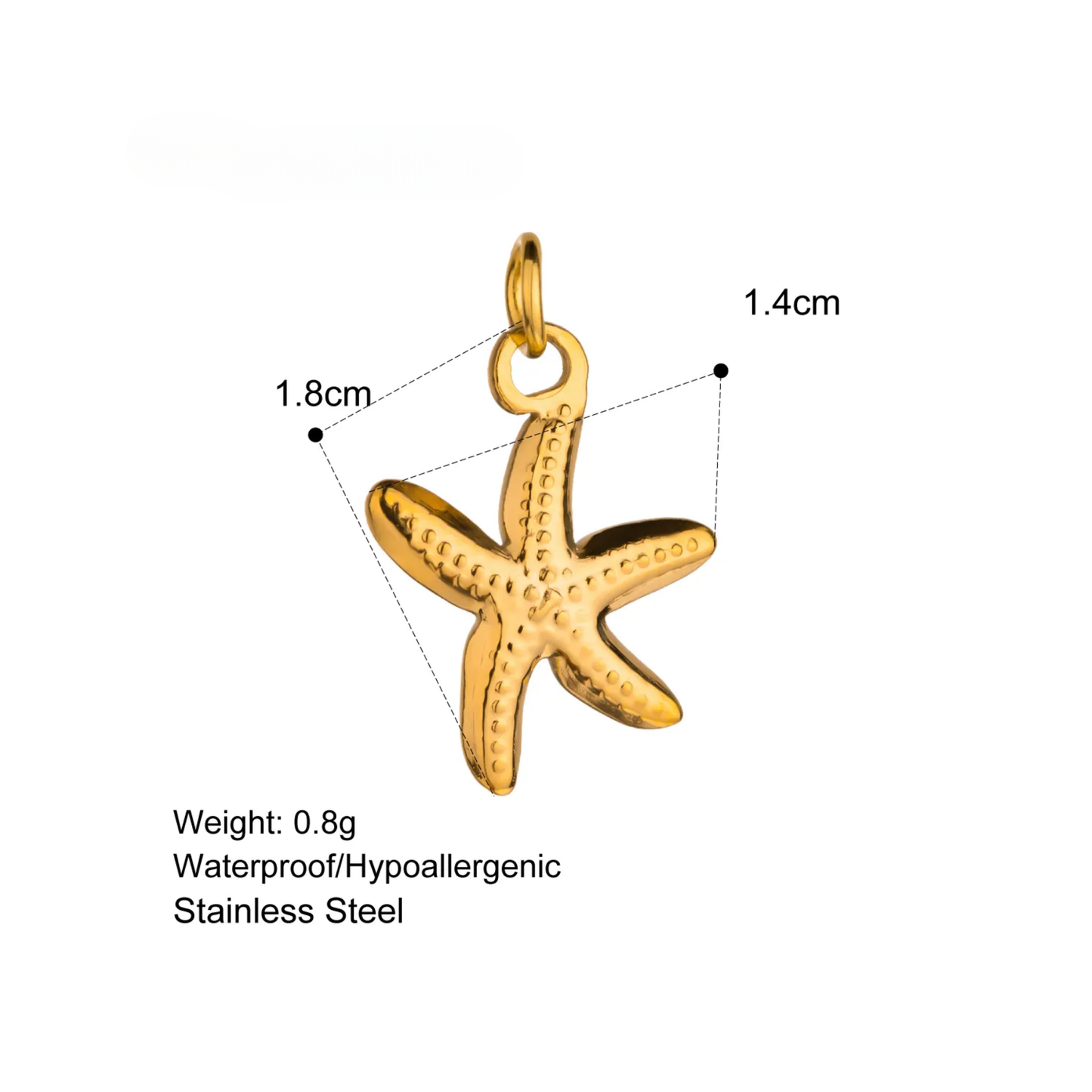 CC Big Starfish