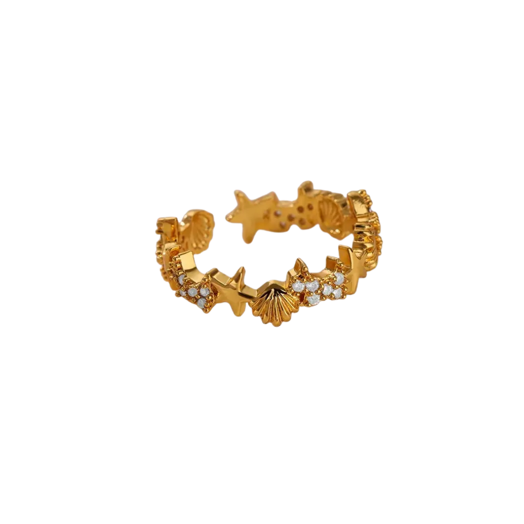 Anillo Playa