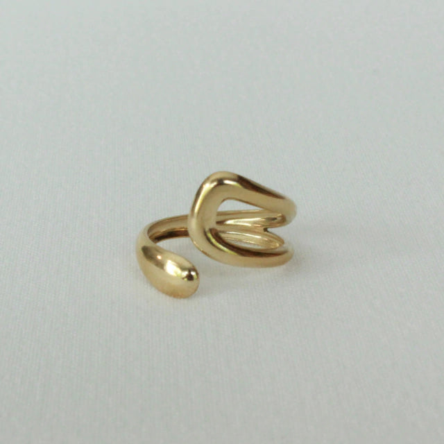 Anillo Flow