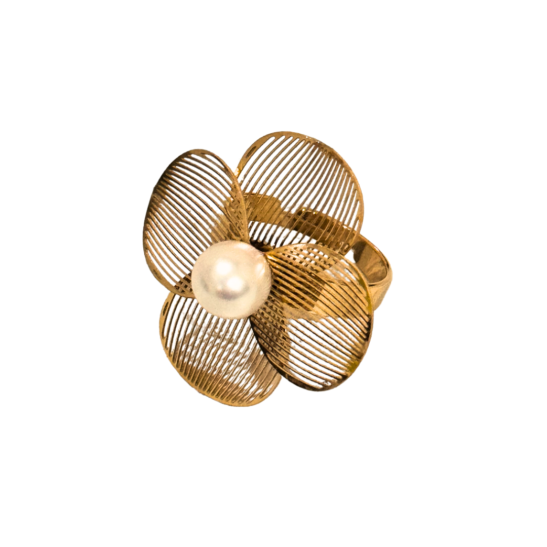 Anillo Spring