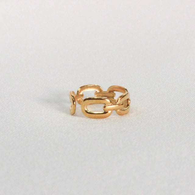Anillo Link
