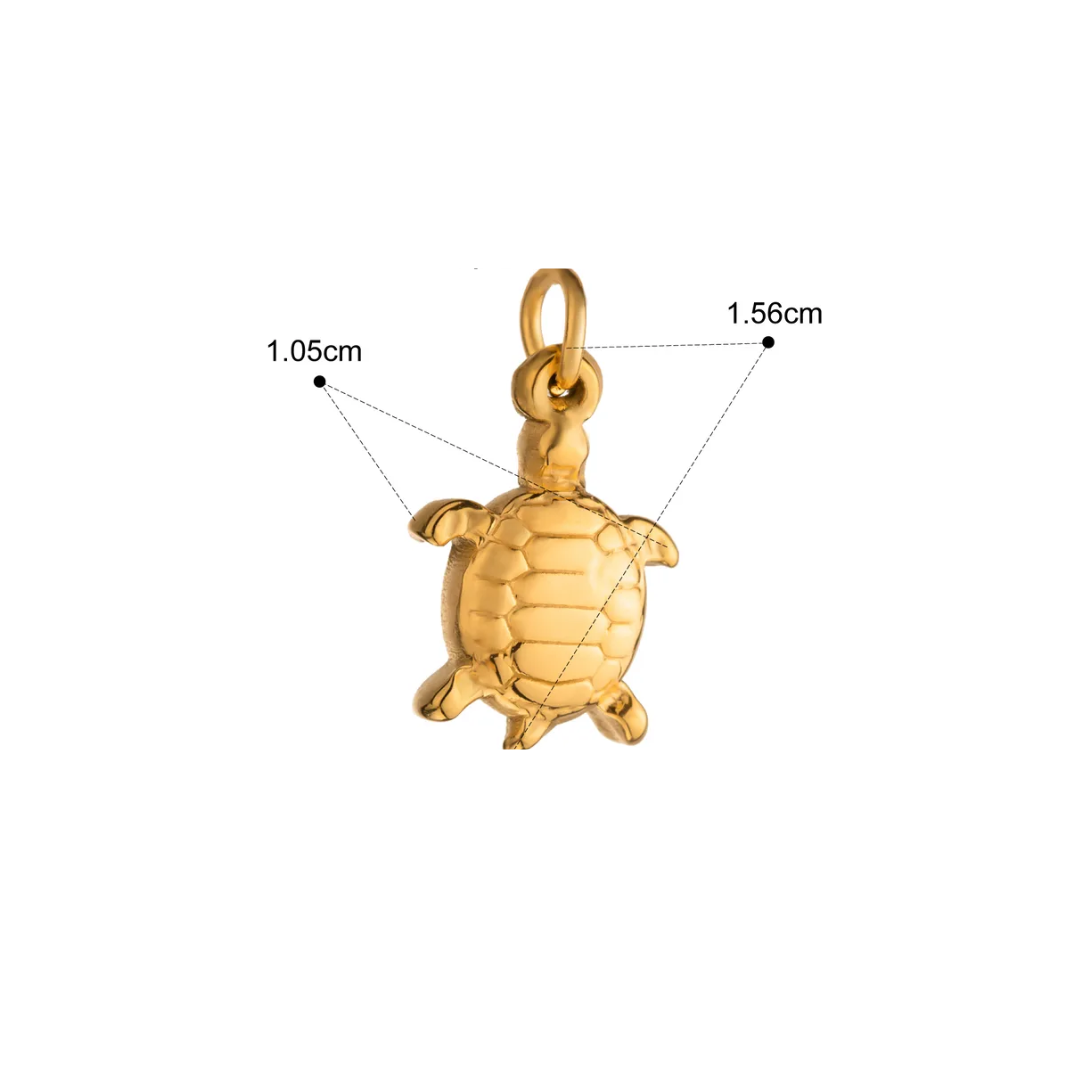 CC Tortuga