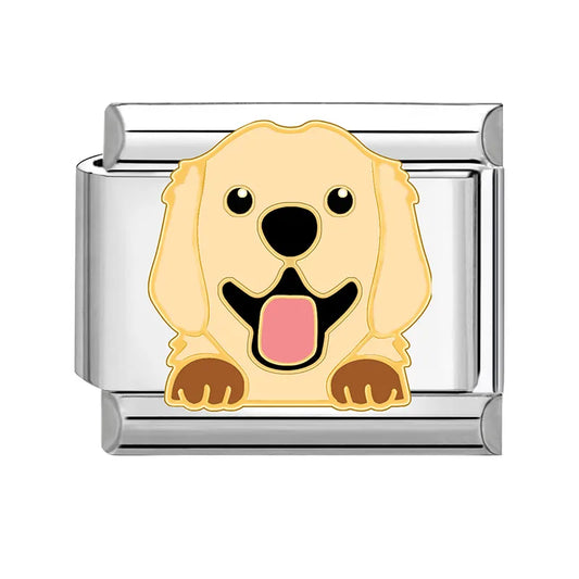 IB Charm Golden Retriever Dog