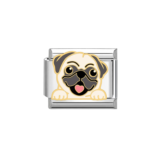 IB Charm Pug Dog