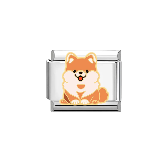 IB Charm Pomeranian Dog