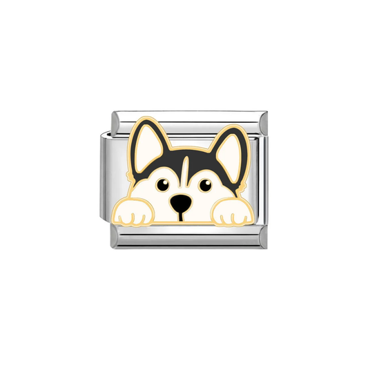 IB Charm Husky Dog