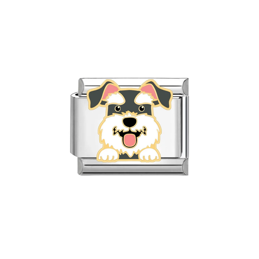 IB Charm Schnauzer Dog