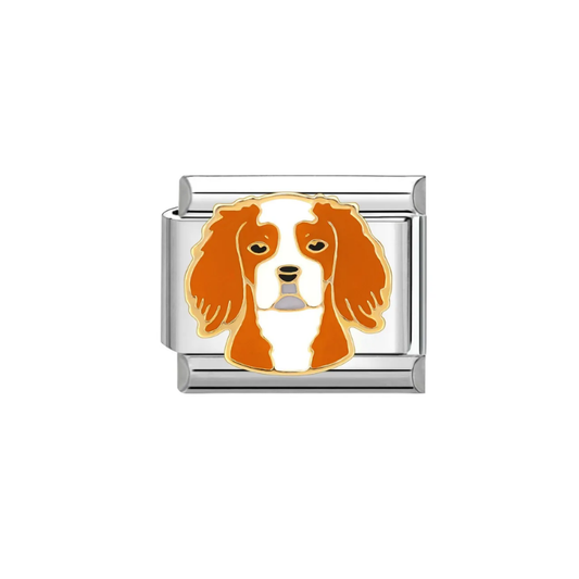 IB Charm Cocker Spaniel Dog