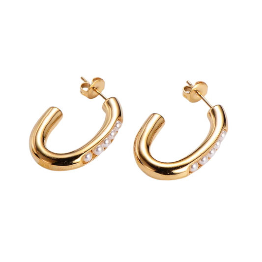 Aretes Coral
