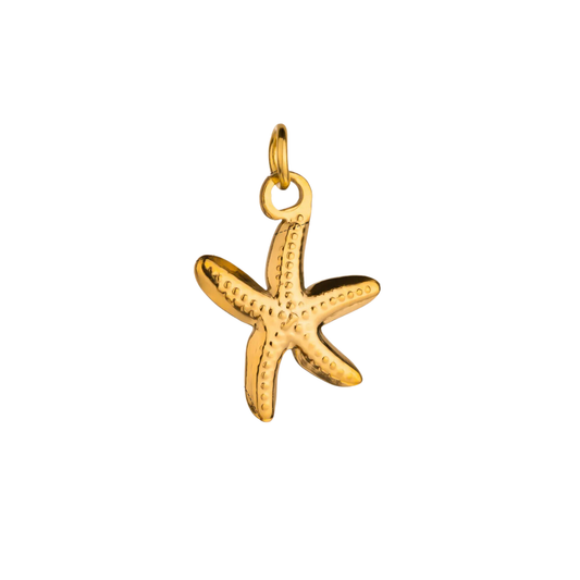 CC Big Starfish