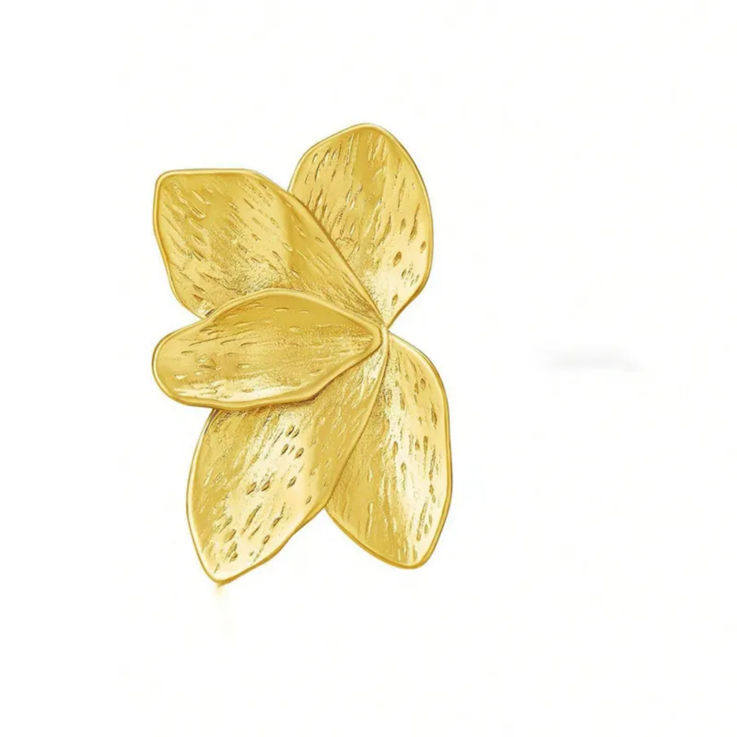 Aretes Alas