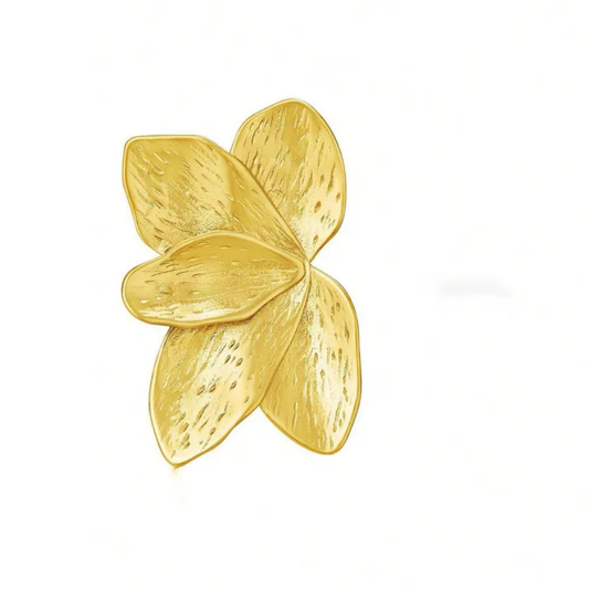 Aretes Alas