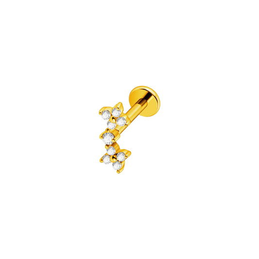 Piercing Luis