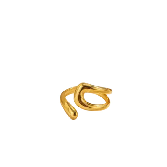 Anillo Flow