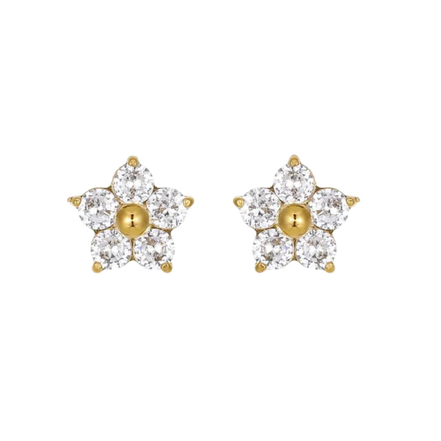 Aretes Gardenia