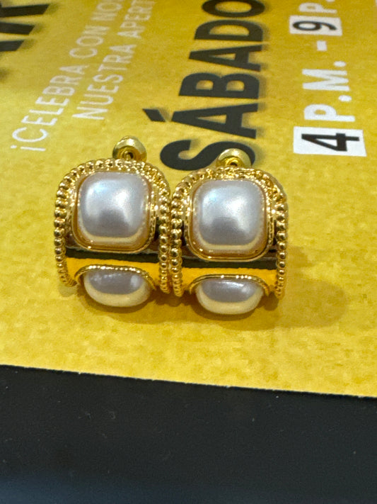Aretes Poletti
