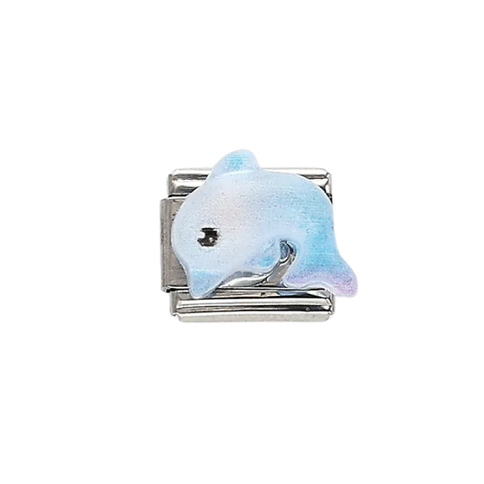 IB Charm Delfin