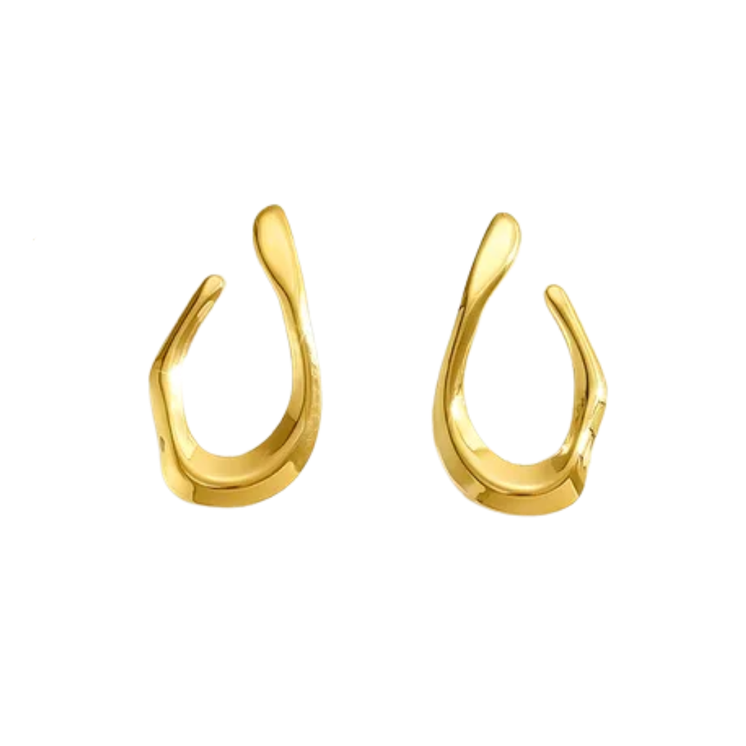 Aretes Hook