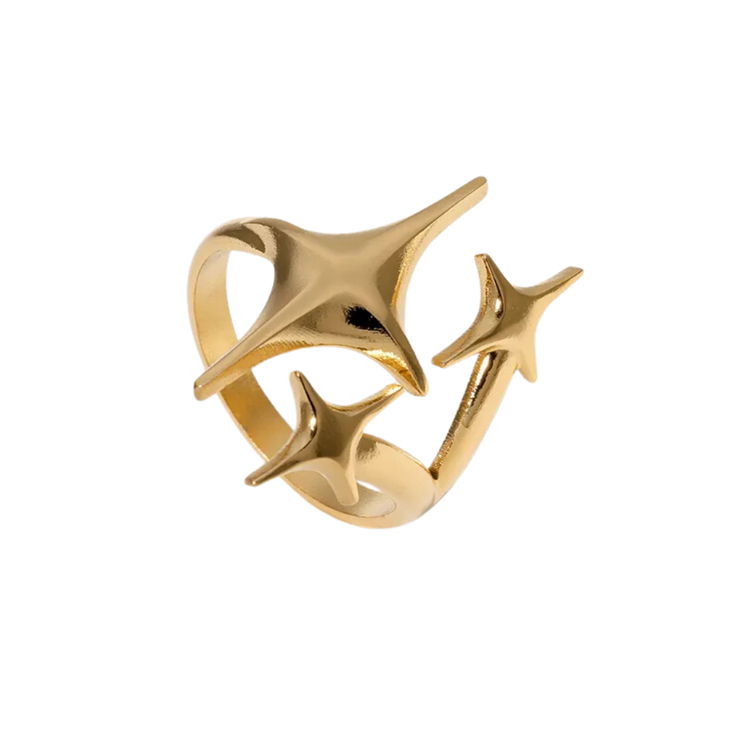 Anillo Stilo