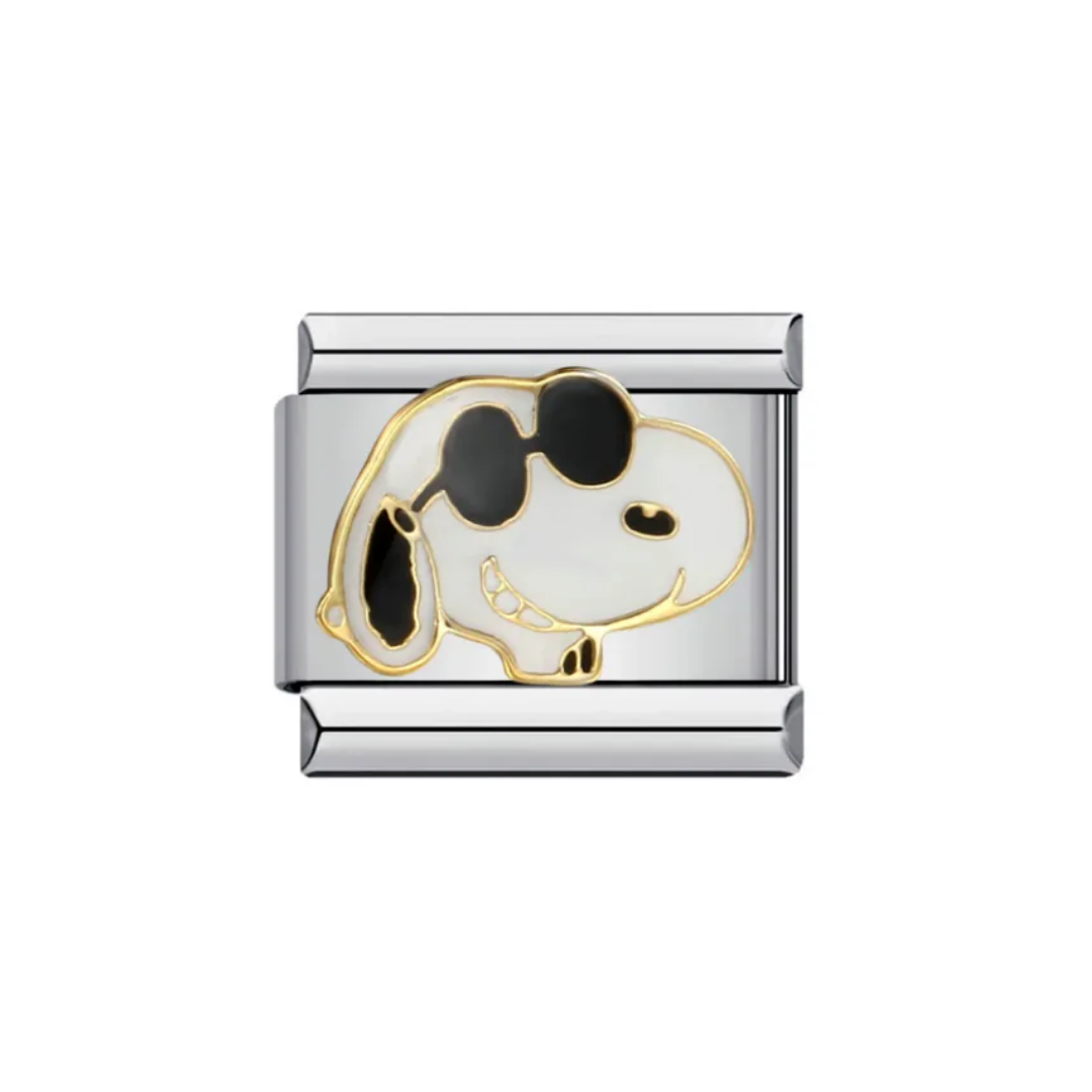IB Charm Snoopy Lentes