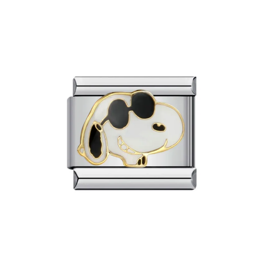 IB Charm Snoopy Lentes
