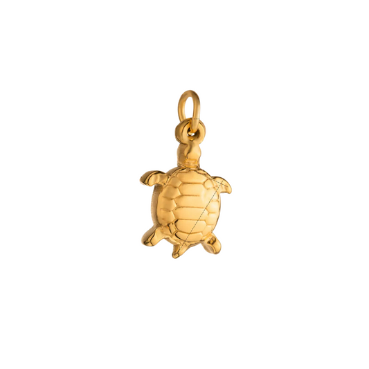 CC Tortuga