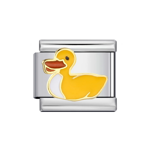 IB Charm pato