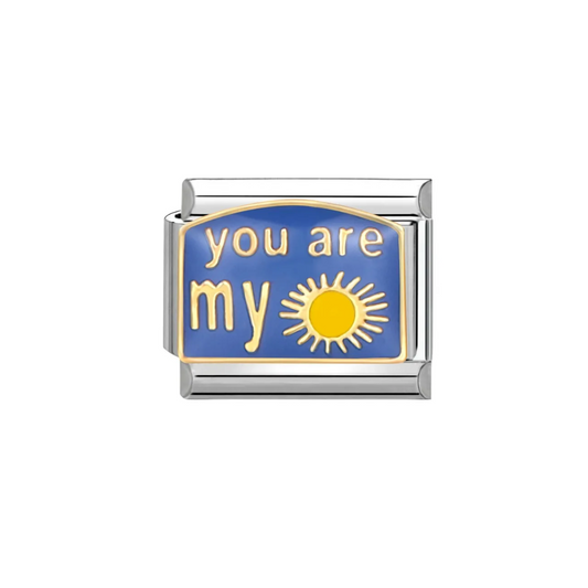 IB Charm you are my sunshine