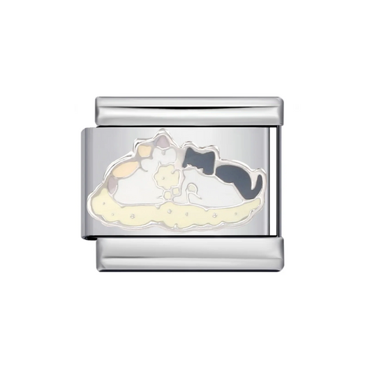 IB Charm gatitos cuddle