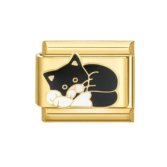 IB Charm Gato negro