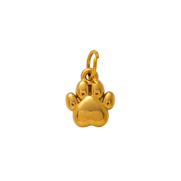 CC Golden Paw