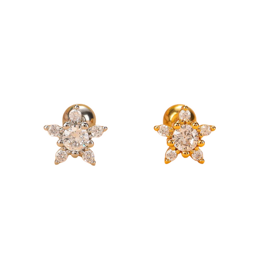 Piercing Starfish